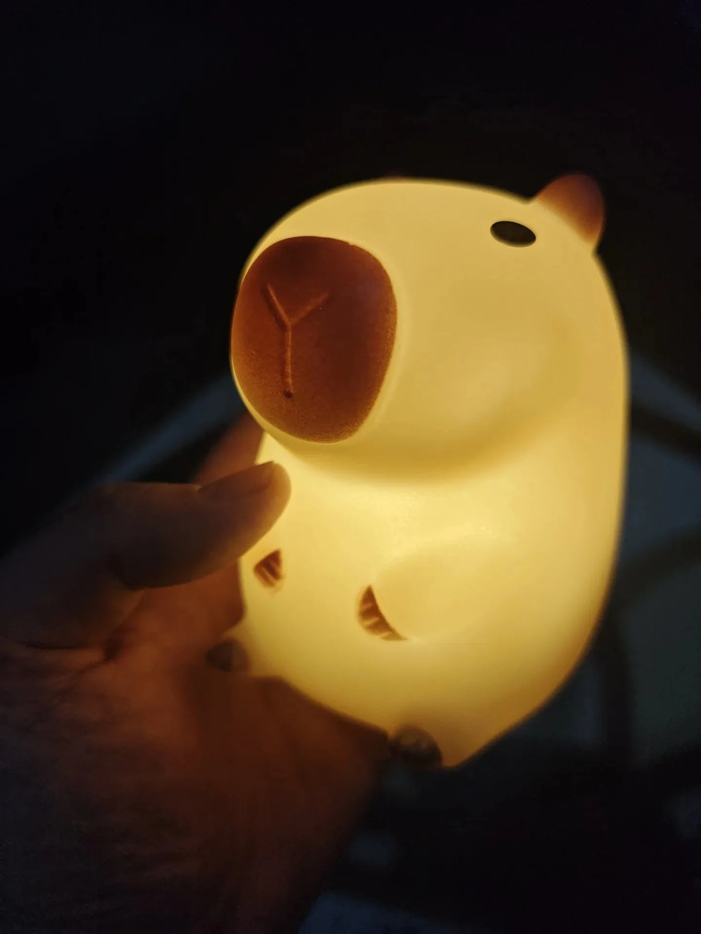 Cute Pet Capybara Night Light Cartoon Silicone Creative Bedside Sleep Night Lamp