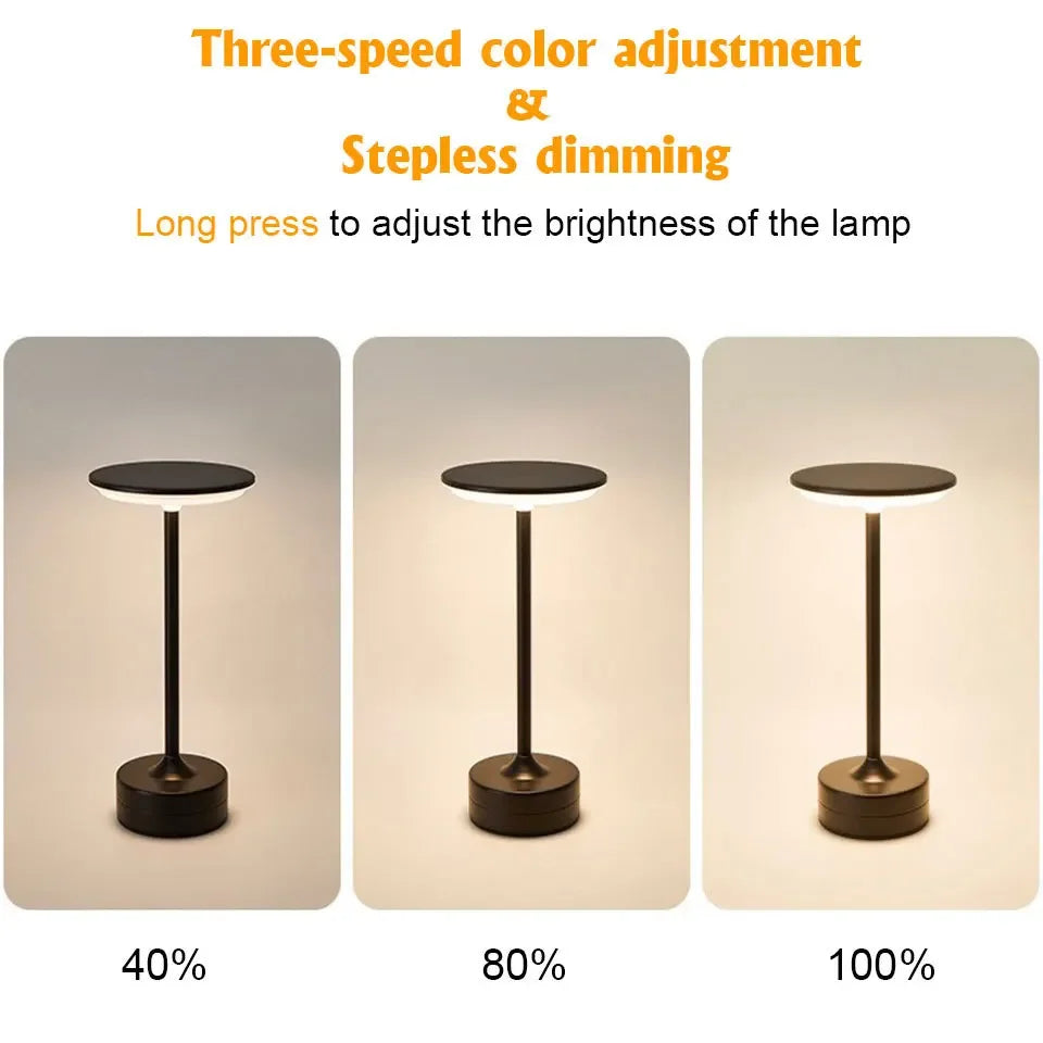 Vintage Metal LED Desk Lamp Touch Control